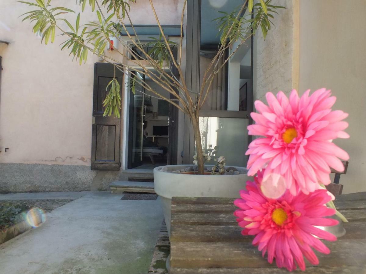 Apartamento Loft Garden In Bologna'S Heart Ospedale Rizzoli Exterior foto